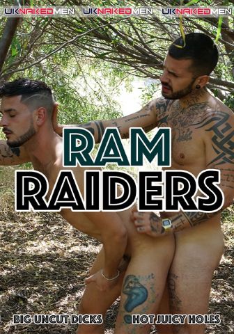 Ram Raiders DOWNLOAD